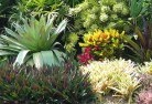 Booubyjanplanting-garden-and-landscape-design-24.jpg; ?>
