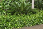 Booubyjanplanting-garden-and-landscape-design-45.jpg; ?>